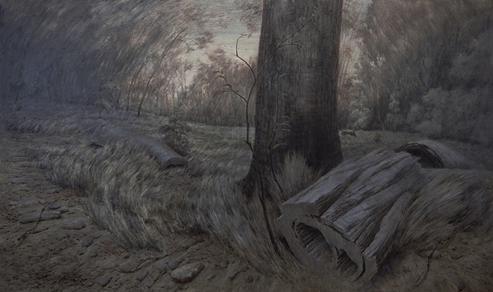 Fallen Timber by Scott  Breton | Lethbridge Gallery